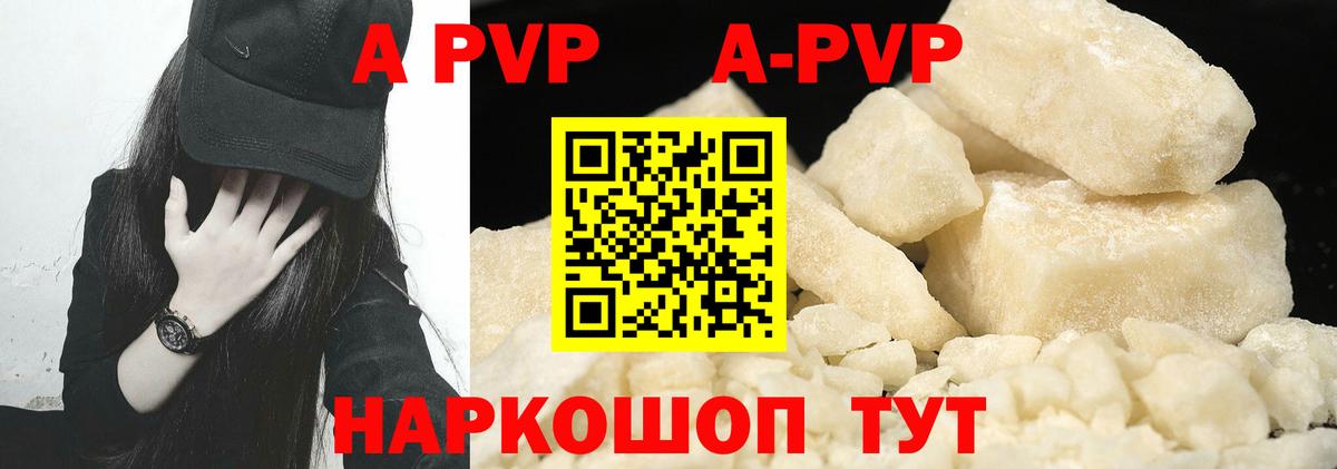 A PVP СК Воронеж