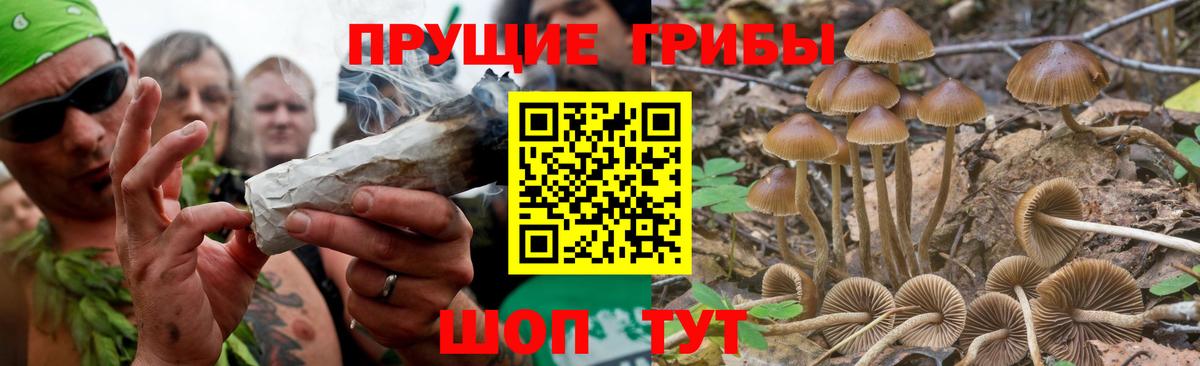 Галлюциногенные грибы MAGIC MUSHROOMS Воронеж