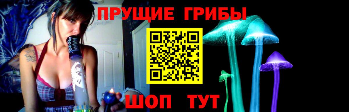 Галлюциногенные грибы Cubensis  где купить наркоту  Воронеж  Вход с VPN 