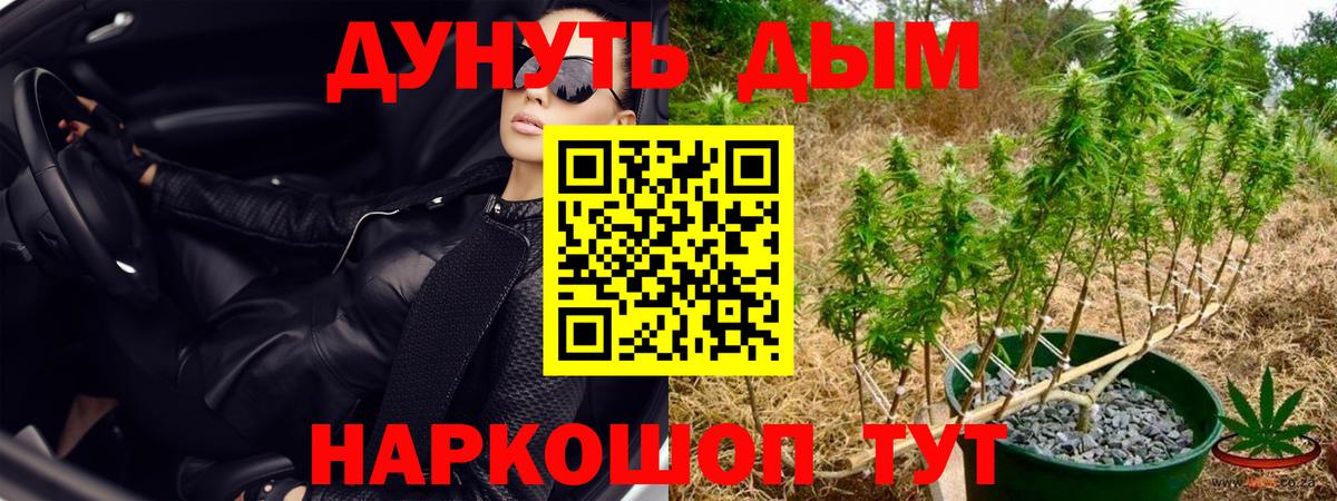Каннабис планчик  Бошки Шишки SATIVA & INDICA  Воронеж  Вход с VPN  Каннабис AK-47 